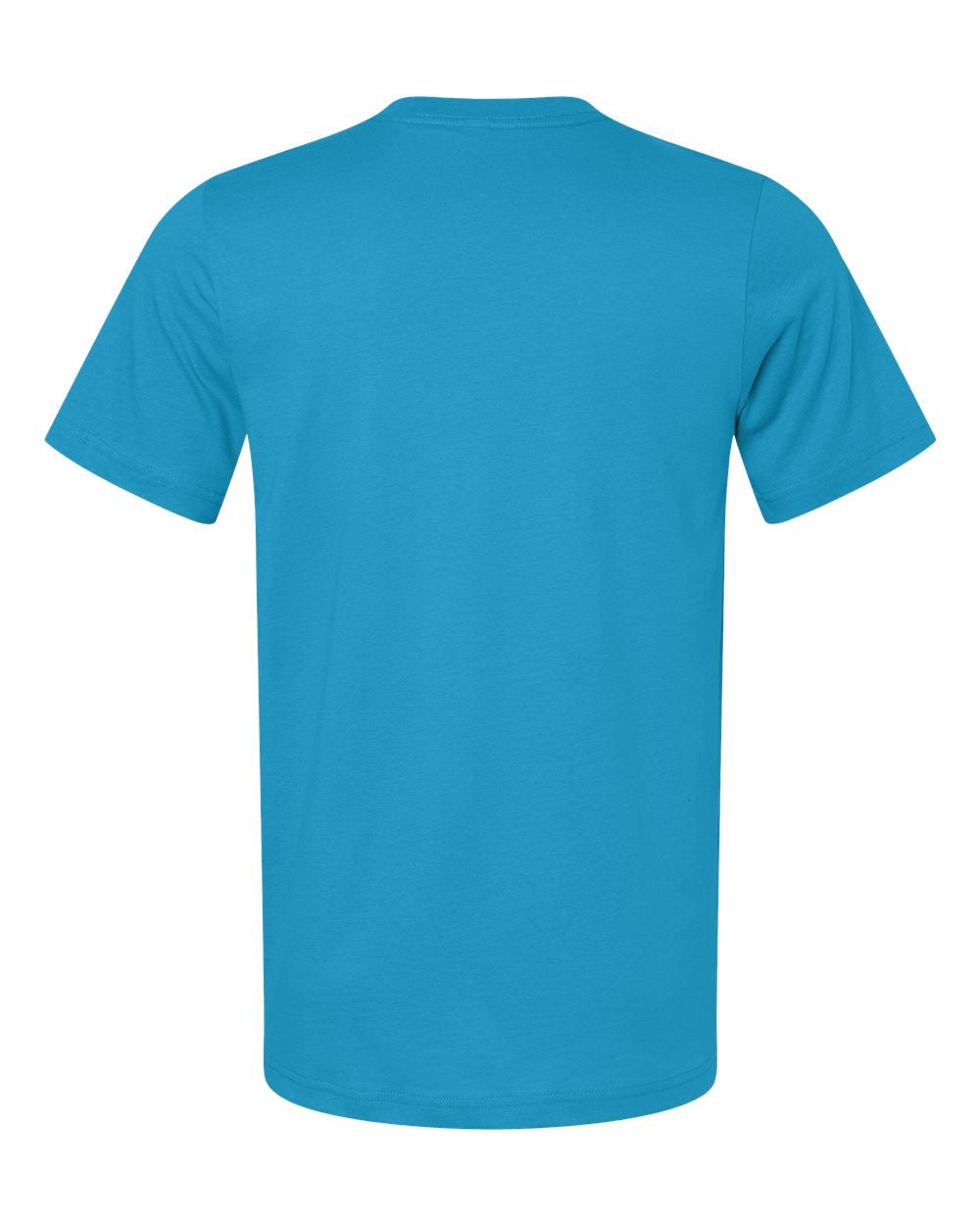 Bella Canvas Basic Crew Neck T-Shirt Gallery 334
