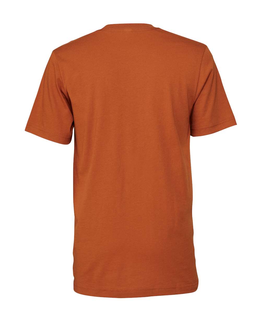 Bella Canvas Basic Crew Neck T-Shirt Gallery 334