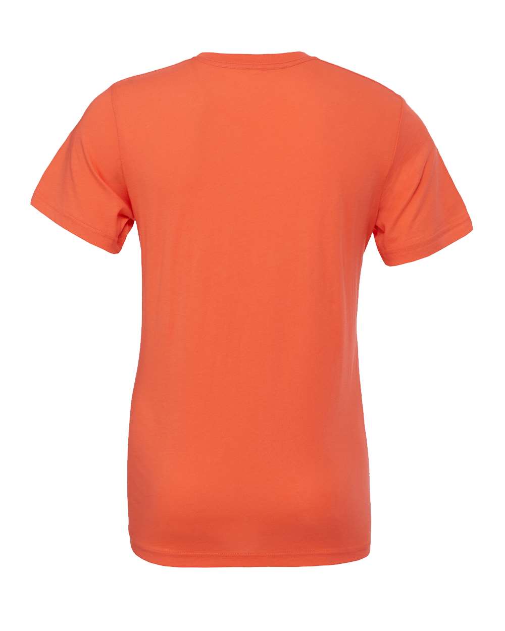 Bella Canvas Basic Crew Neck T-Shirt Gallery 334