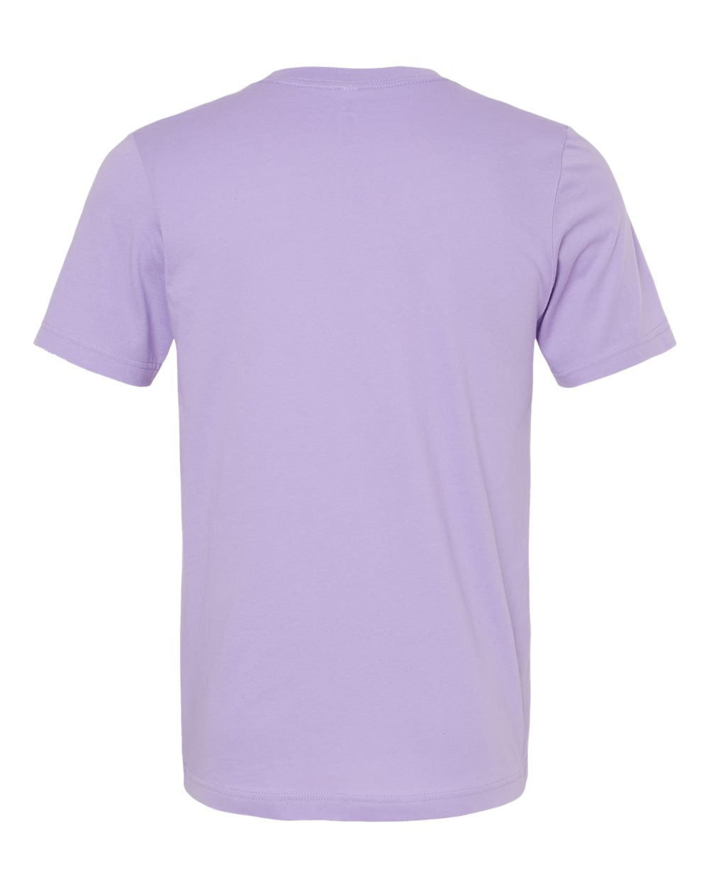 Bella Canvas Basic Crew Neck T-Shirt Gallery 334