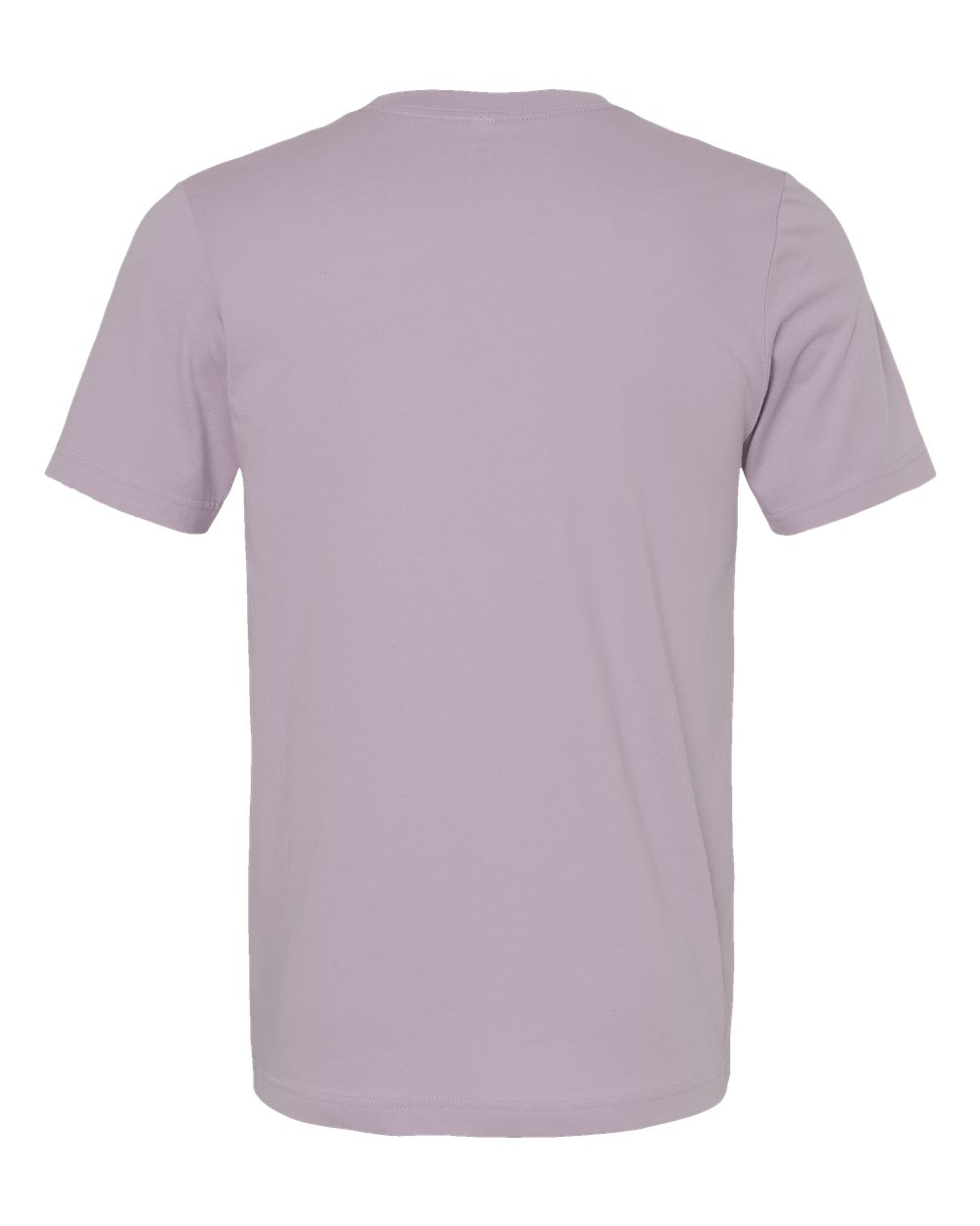 Bella Canvas Basic Crew Neck T-Shirt Gallery 334