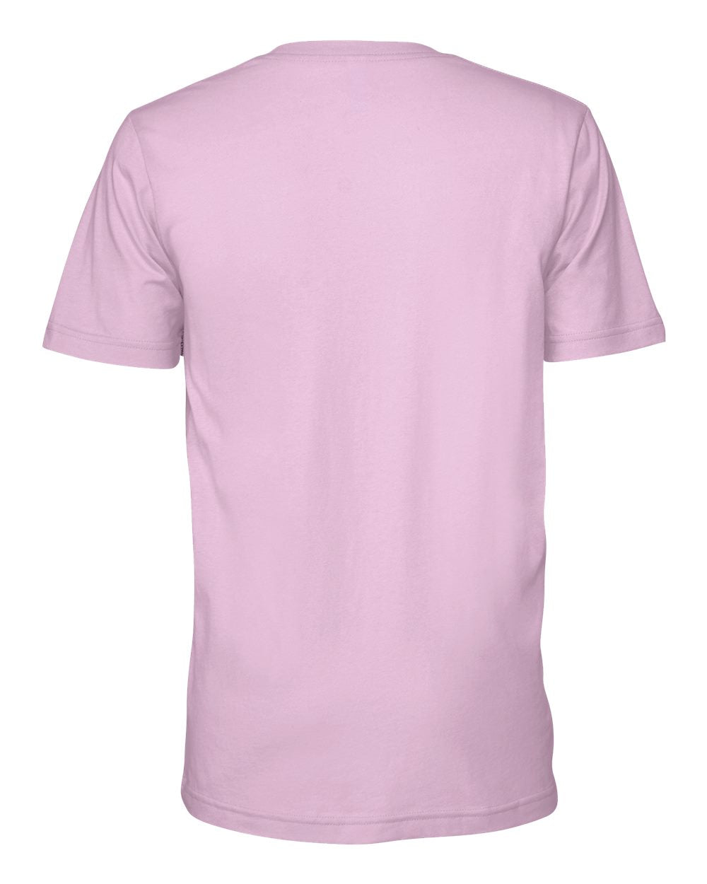 Bella Canvas Basic Crew Neck T-Shirt Gallery 334