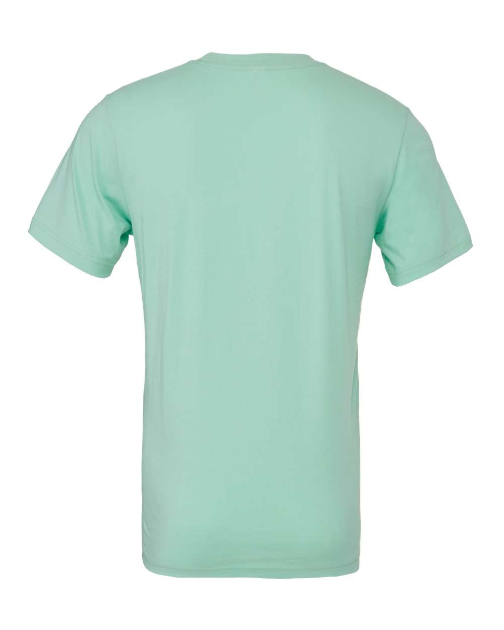 Bella Canvas Basic Crew Neck T-Shirt Gallery 334