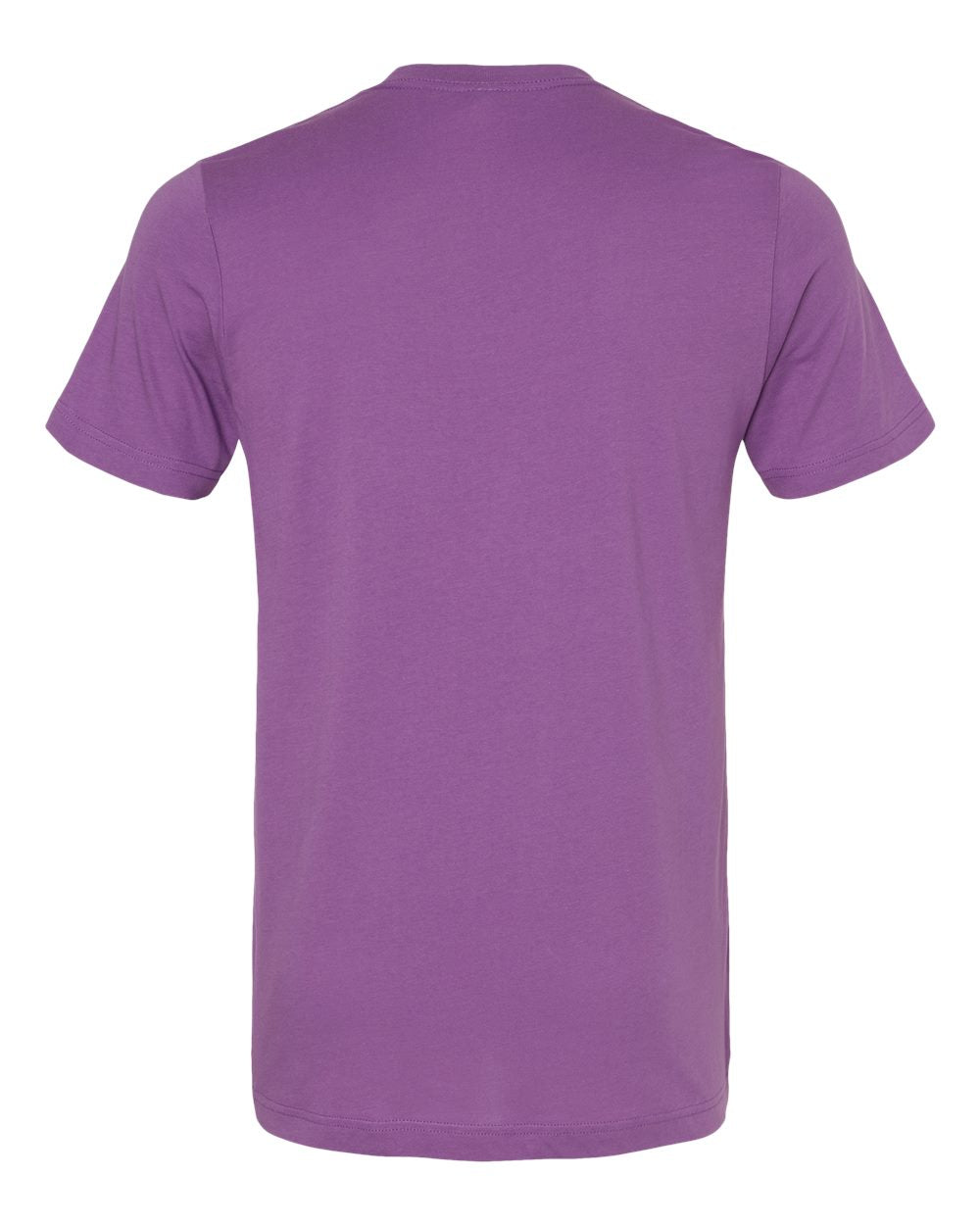 Bella Canvas Basic Crew Neck T-Shirt Gallery 334