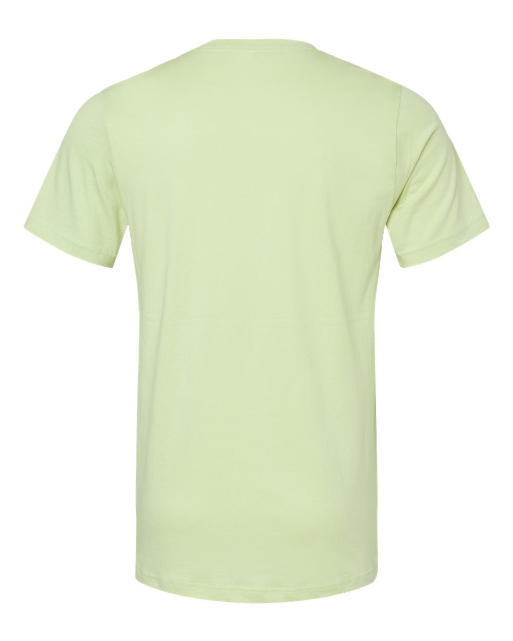 Bella Canvas Basic Crew Neck T-Shirt Gallery 334