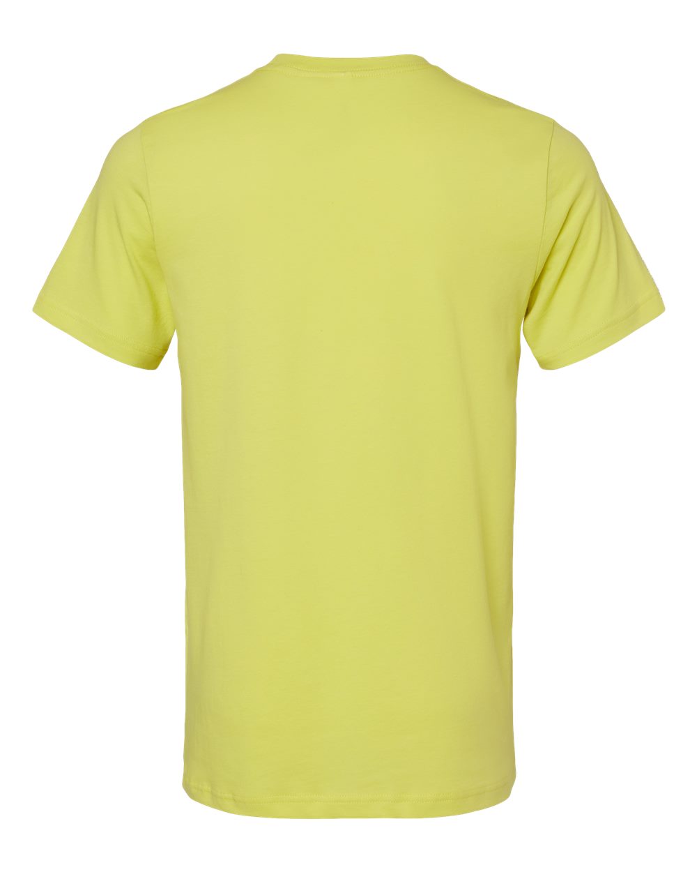 Bella Canvas Basic Crew Neck T-Shirt Gallery 334