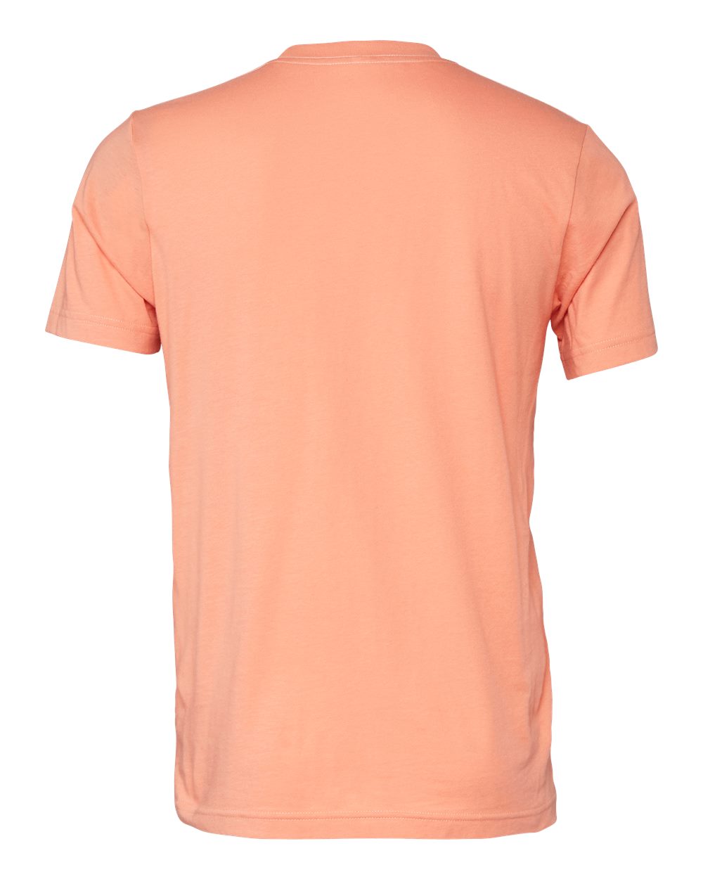 Bella Canvas Basic Crew Neck T-Shirt Gallery 334