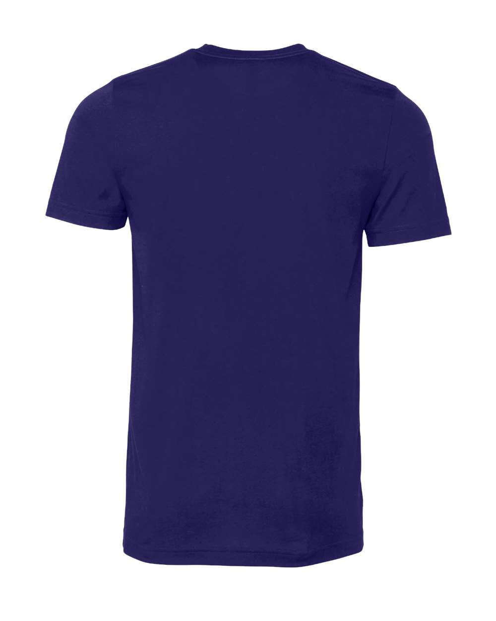 Bella Canvas Basic Crew Neck T-Shirt Gallery 334