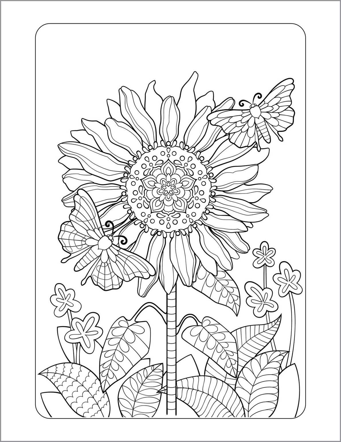 Anxiety Relief Coloring Book for Adults Sourcebooks