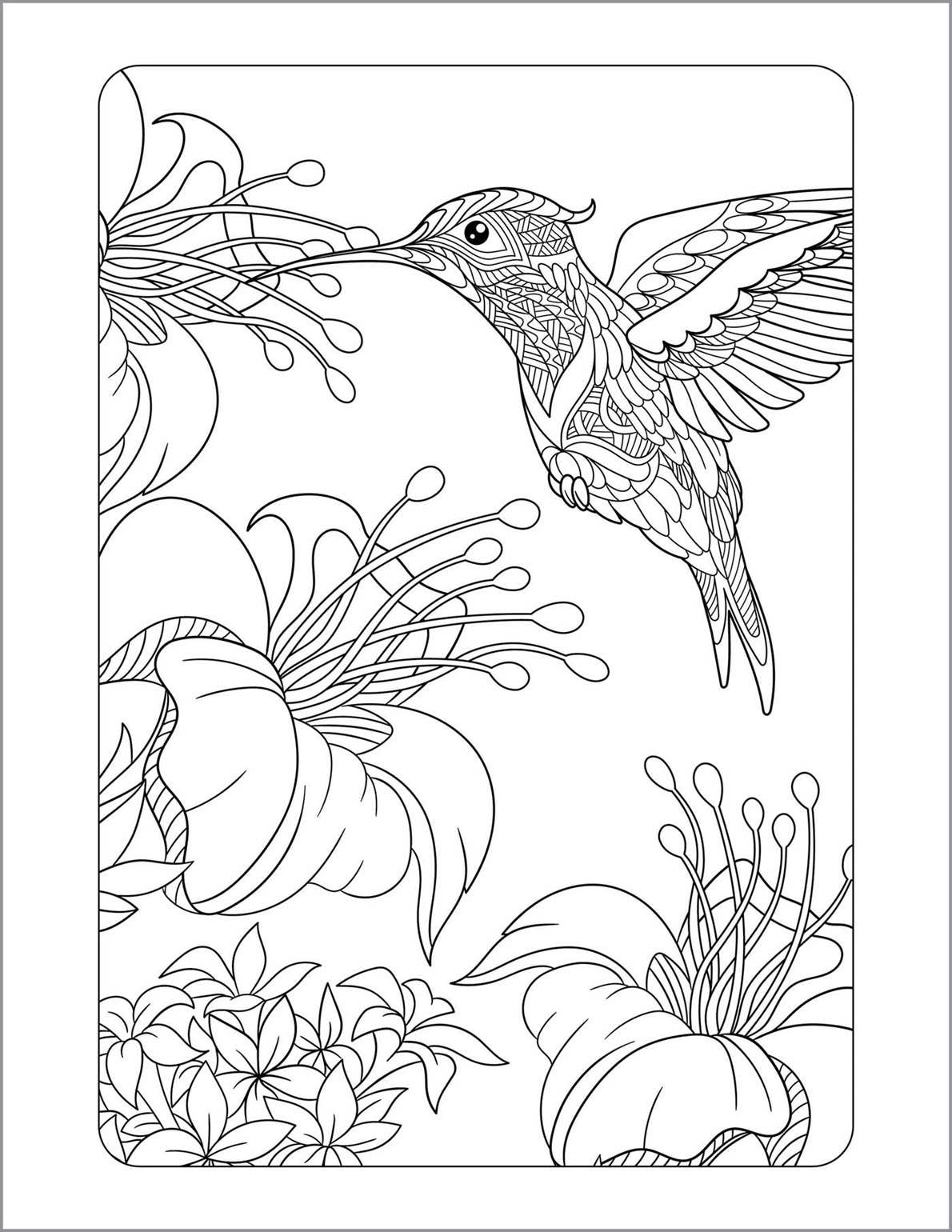 Anxiety Relief Coloring Book for Adults Sourcebooks