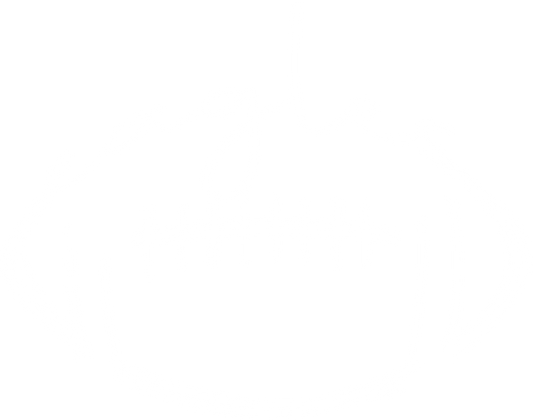PH White Football Eagles Design Gallery 334